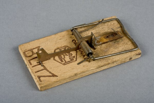 Schlagbügelfalle Norfa Blitz