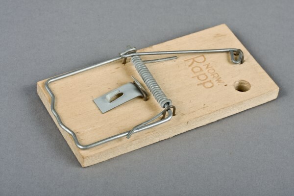 Schlagbügelfalle Rapp Norw.