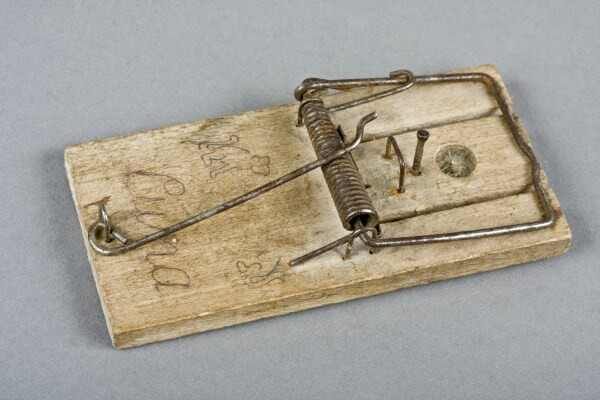 Schlagbügelfalle Luna