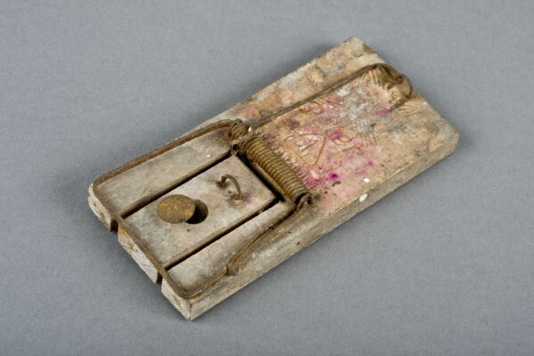 Schlagbügelfalle Peter