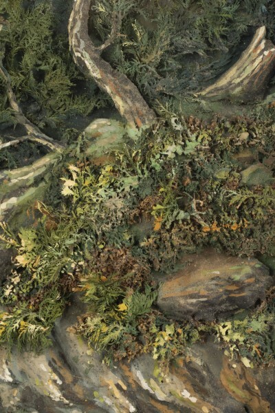 Slider Bild - CC BY-SA 4.0