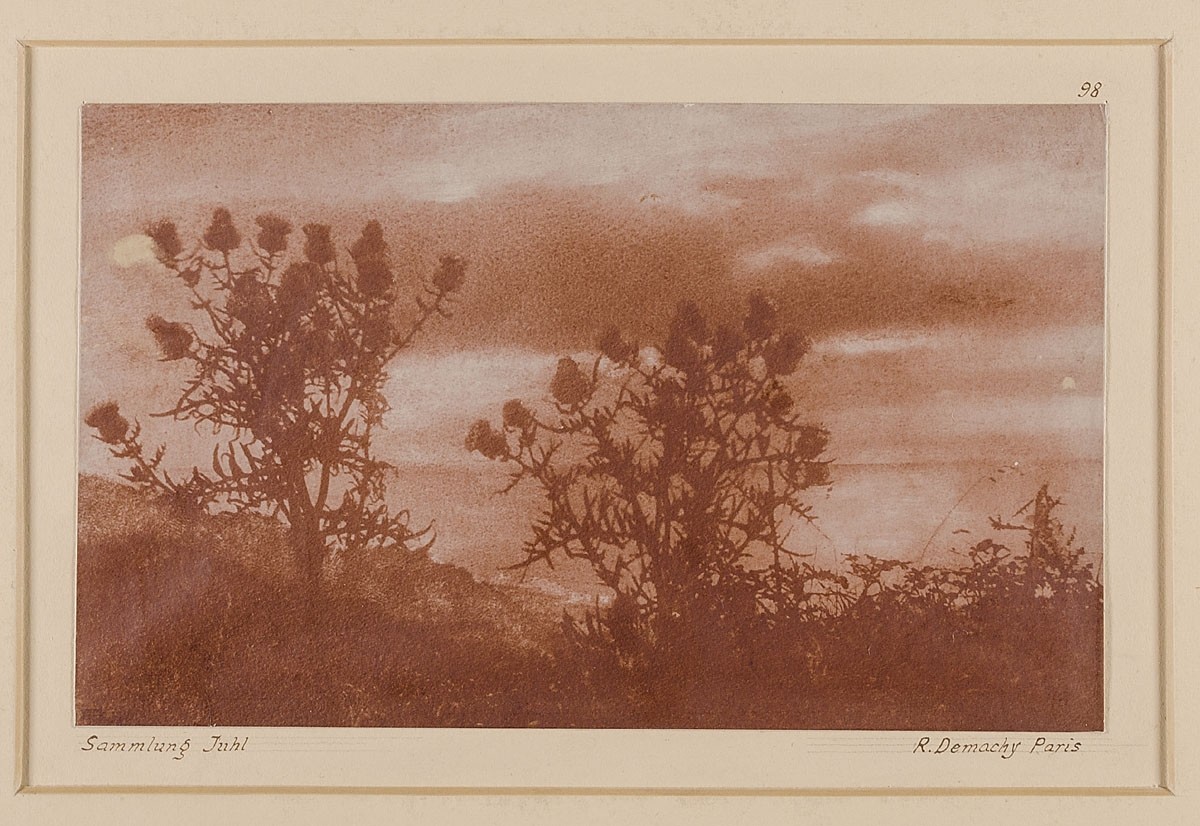 Robert Demachy, Disteln